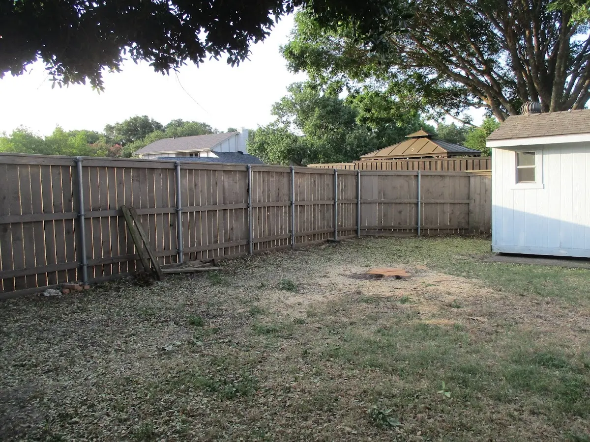 Cleared yard after professional tree removal in Belvue